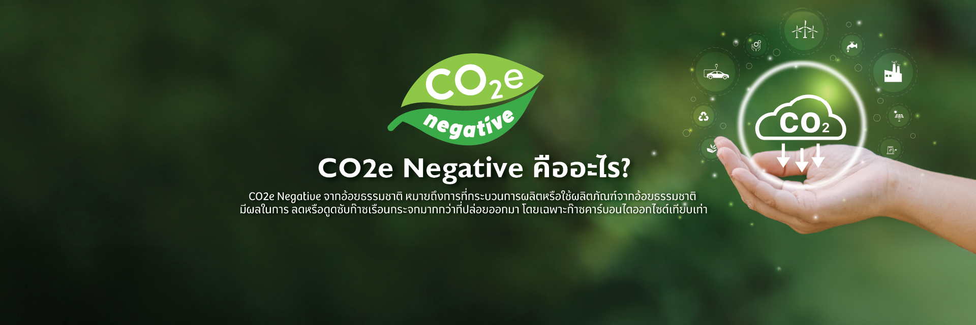 TSM-WEB-BANNER-CO2e