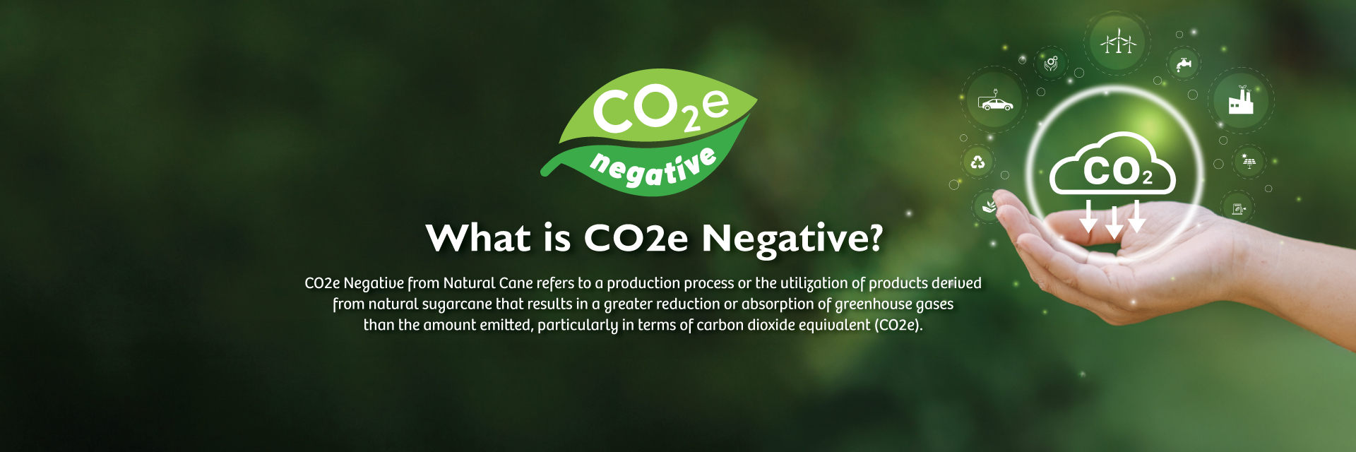 CO2e Banner Eng