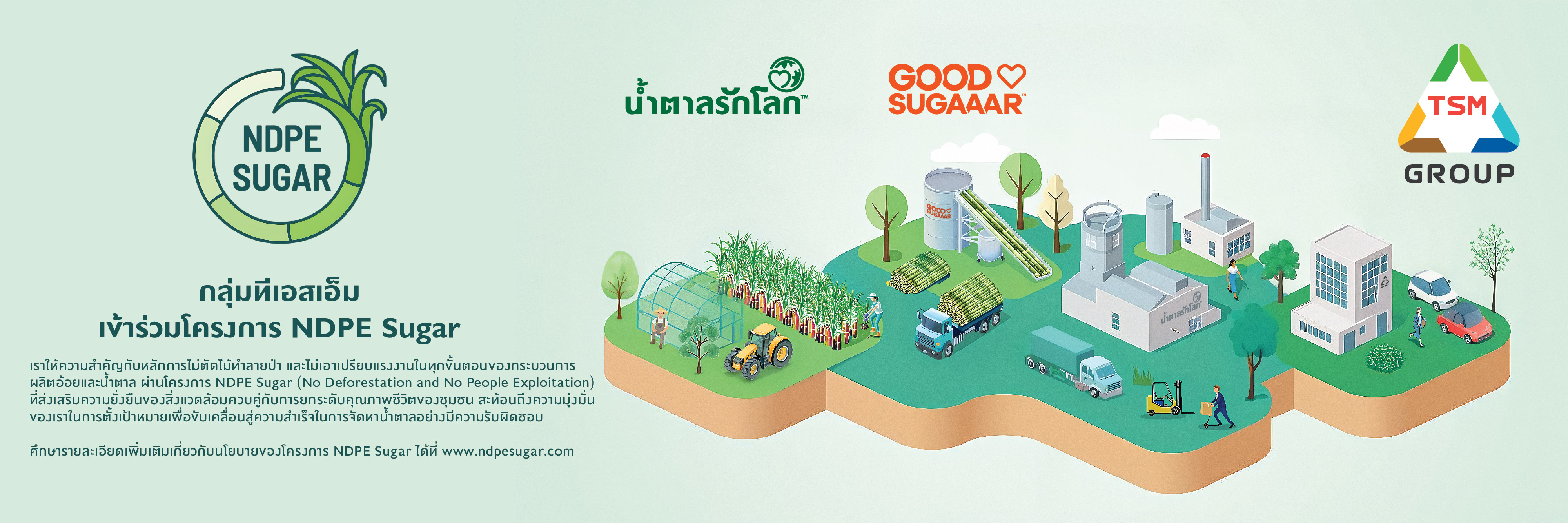 NDPE BANNER THAI